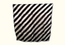 Foulard zebre